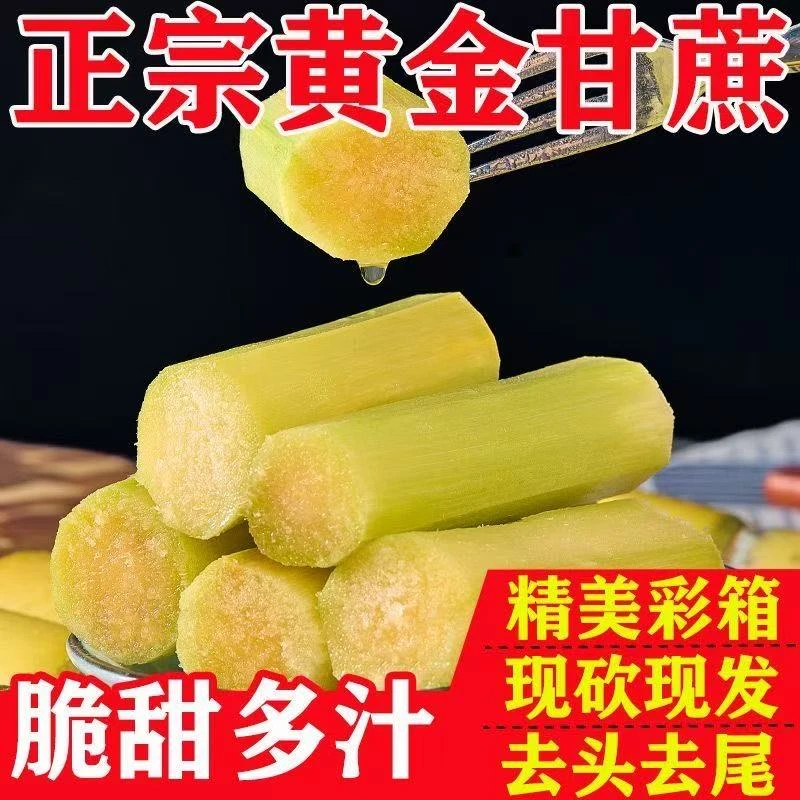 云南黄金甘蔗现砍现发当季新鲜水果清甜多汁肉厚皮薄