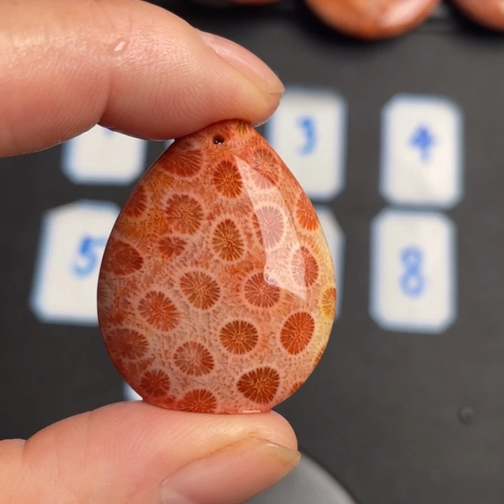 合金珠宝奇石硅化玉221