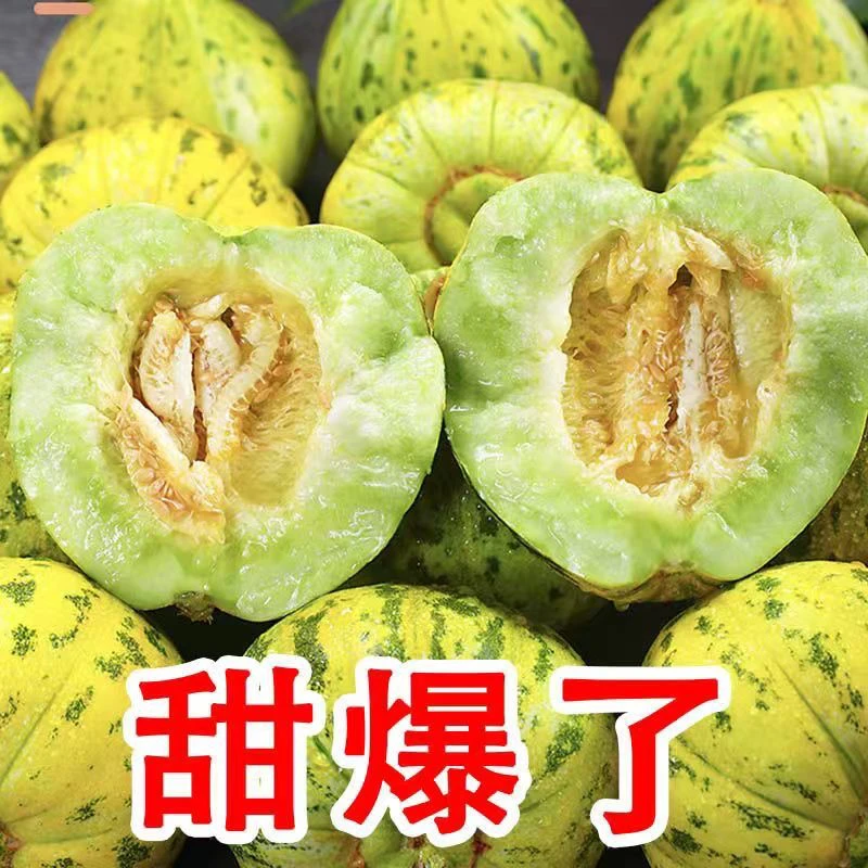 【顺丰包邮】正宗东北头茬八里香甜瓜脆甜可口