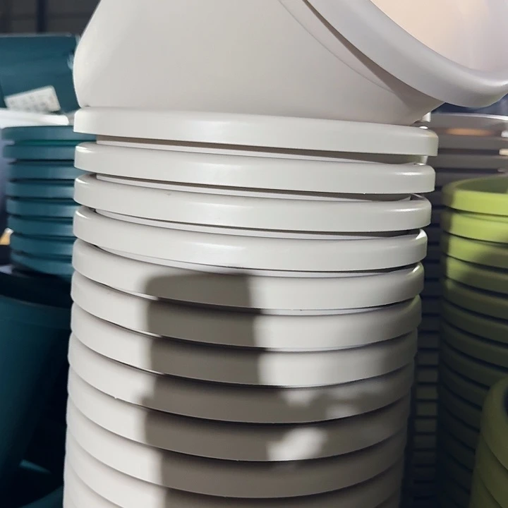 四季5号灰白无托10个特价微瑕