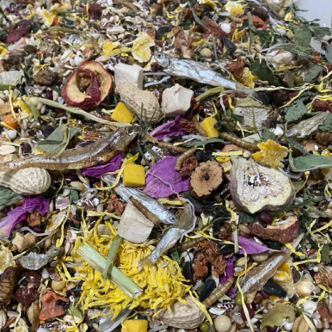 金丝熊自配粮食仓鼠粮食