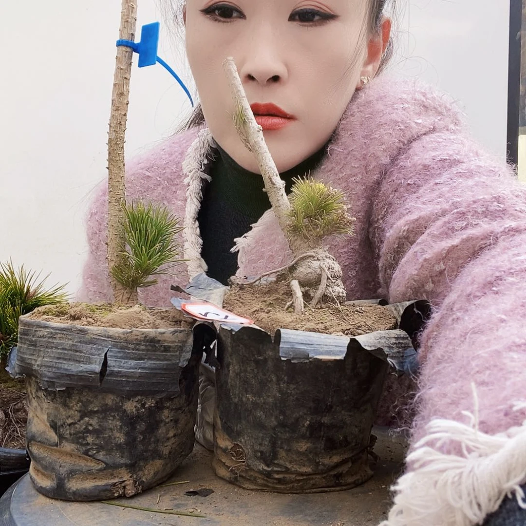 植物形态多年生草本