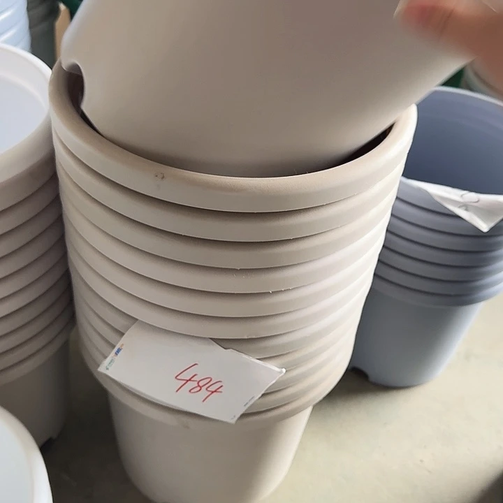 瑕疵5#灰白6个无托