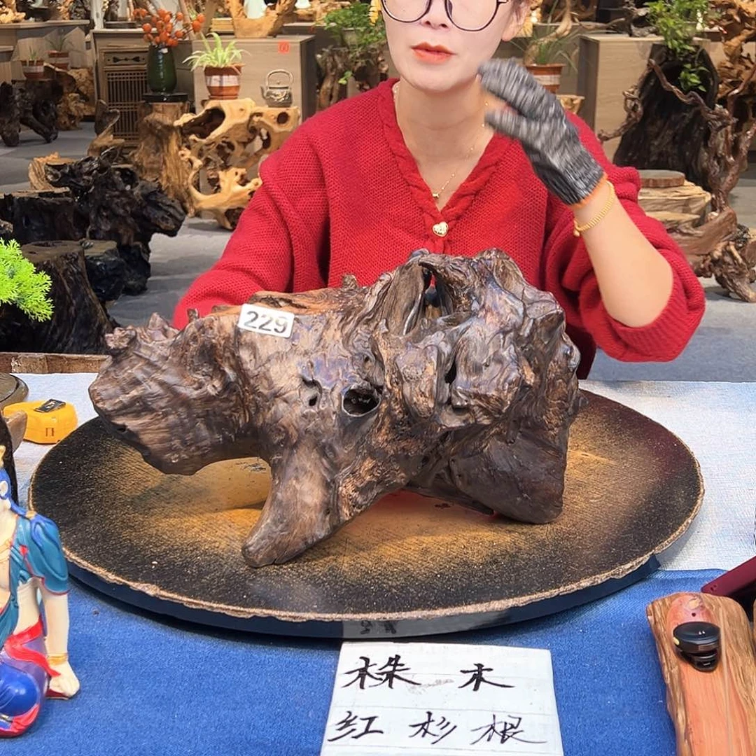 夏***风木229 hvvvbbbbnnnnn