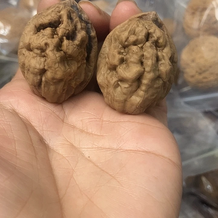 文玩核桃把件云南铁核桃基地21