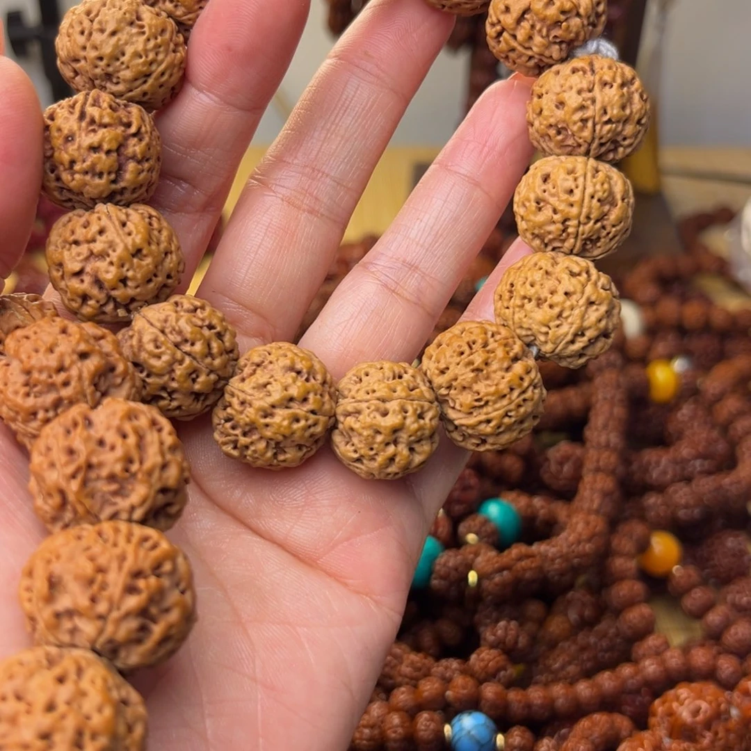 鑫***昊五瓣原皮大金刚满肉