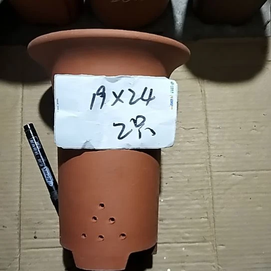 紫砂大红兰花两个