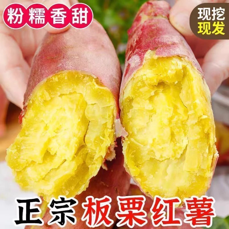 FL陕西农家自种临潼板栗薯红薯番薯新鲜蔬菜非桥头地瓜红薯
