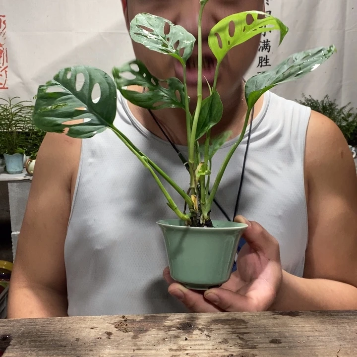 退款拉黑一物一拍340
