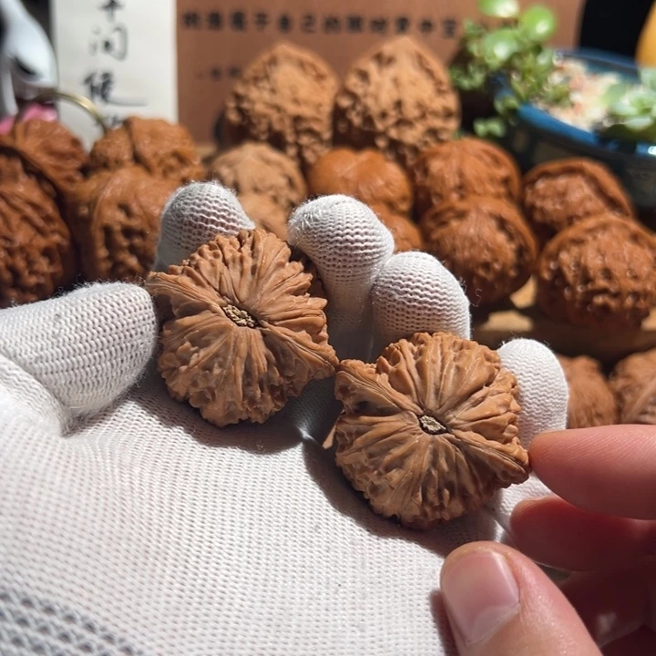 甲***戊核桃全品无修 41 正磨