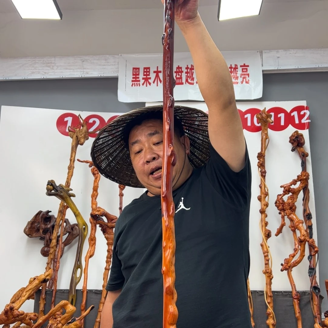 剃***匠黑果木其他黑果木571
