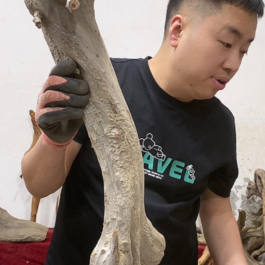 【闪购商品】柏木觉*我们都是好孩子