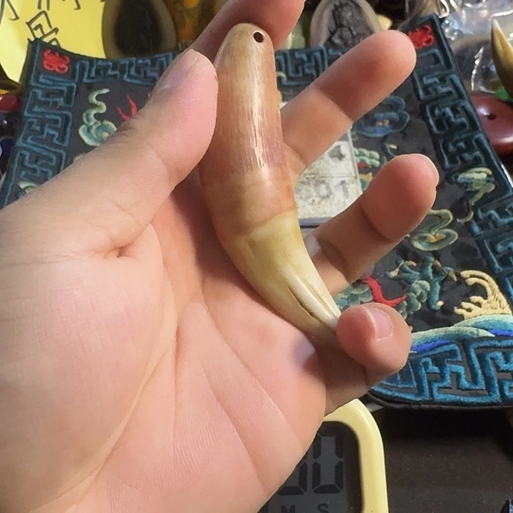 大哥专拍链接一号