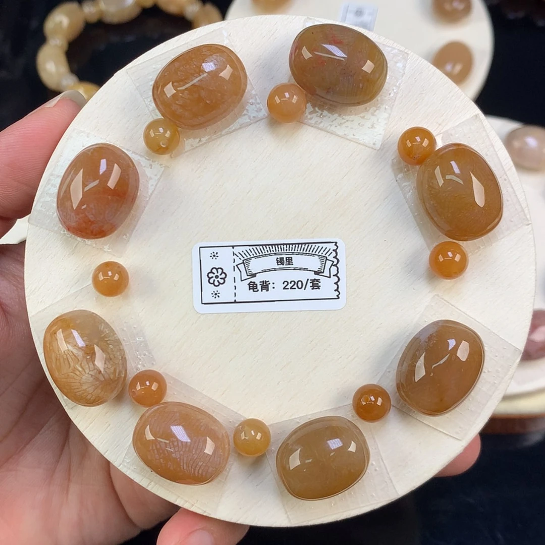 【闪购商品】颈饰未镶嵌硅化珊瑚（珊瑚玉）8号凤尾龟背