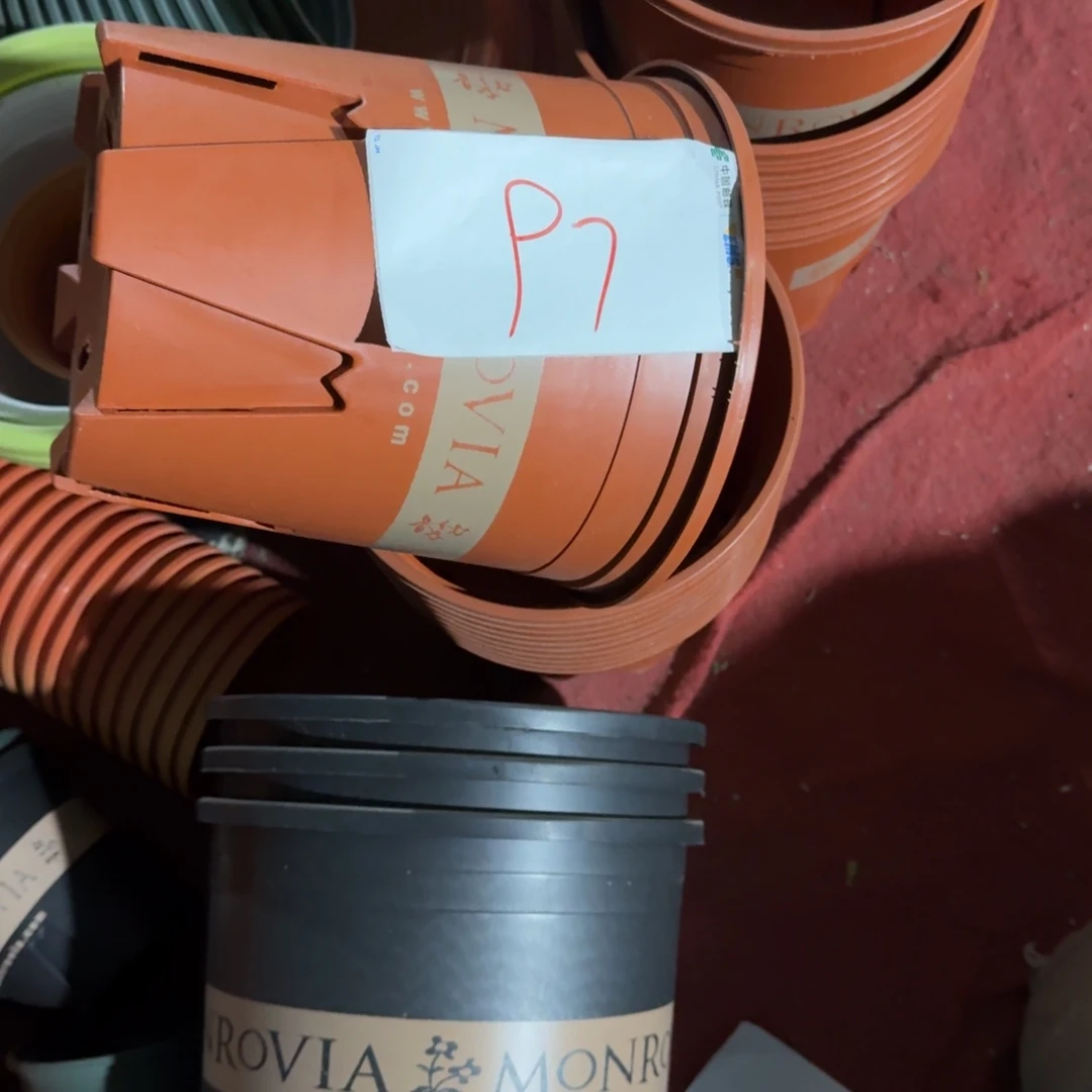 编号是97号的97号的