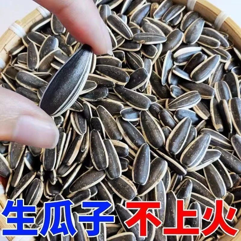 【买一斤送一斤】到手2斤生瓜子原味精选大颗粒健康办公休闲零食