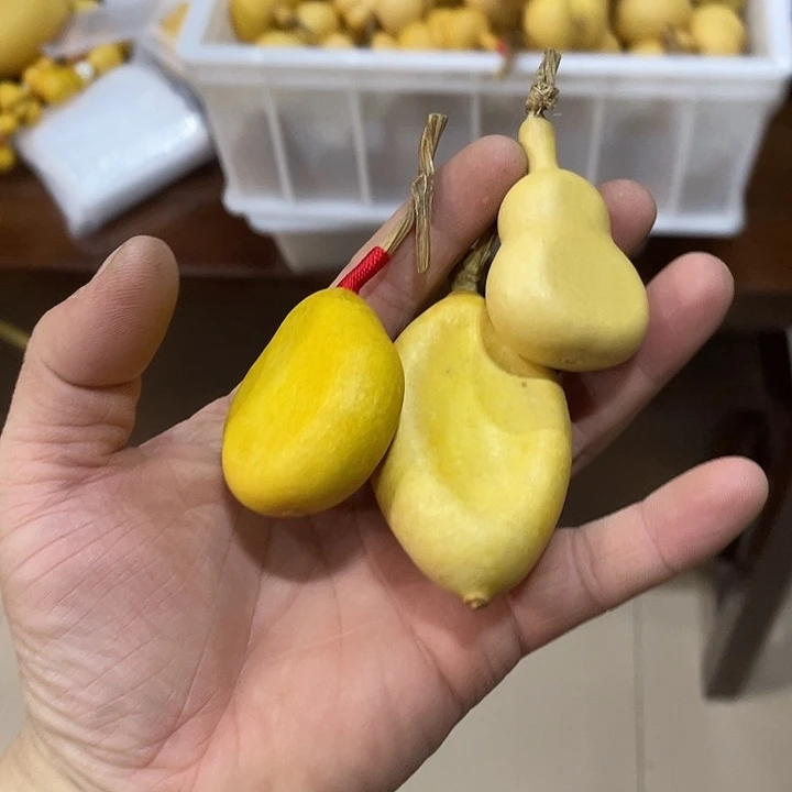 睿*葫芦葫芦葫芦葫芦葫芦葫芦