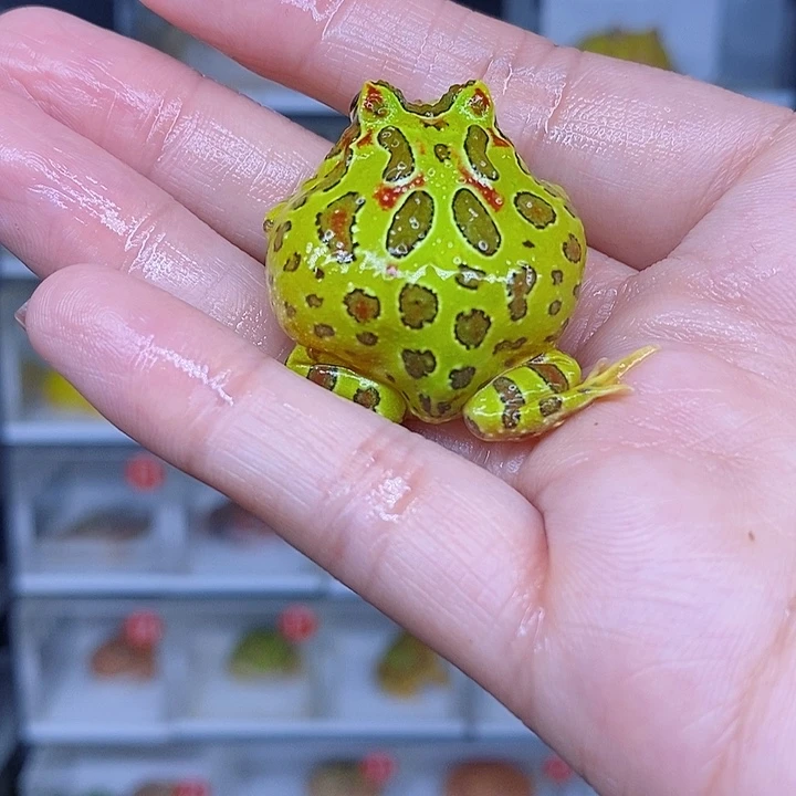 特价秒杀现货特价残