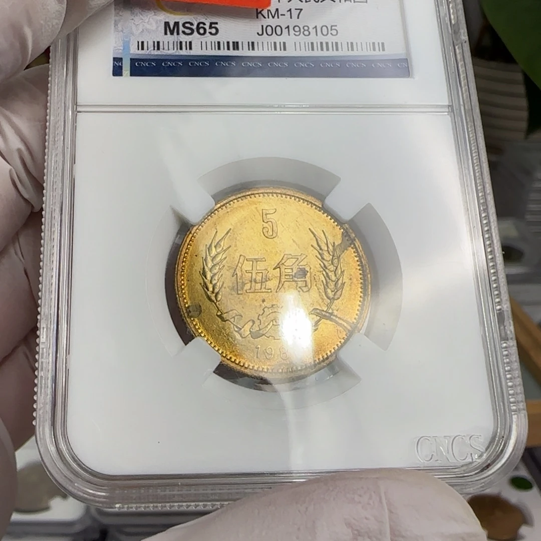 81年五角评级带黑包浆