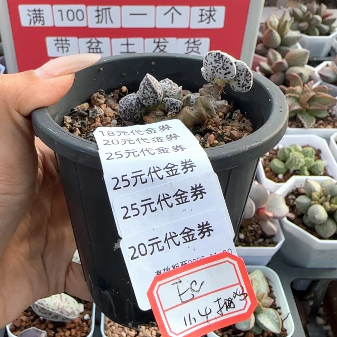 E***O代133。 抵扣25.13。168