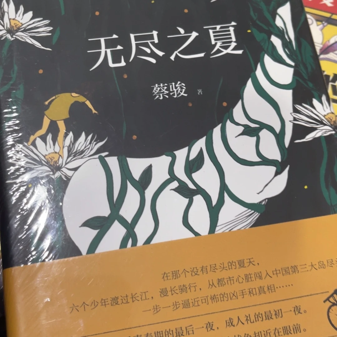 老***u无尽之夏精装一个