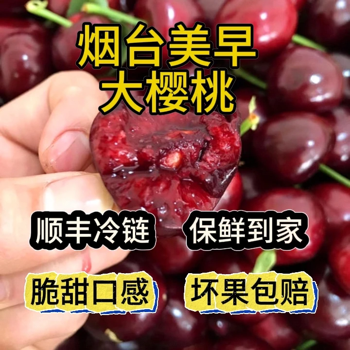 【樱桃】【空运】烟台高甜美早，6J，15g以上坏果包赔，2.8斤 内附果径卡
