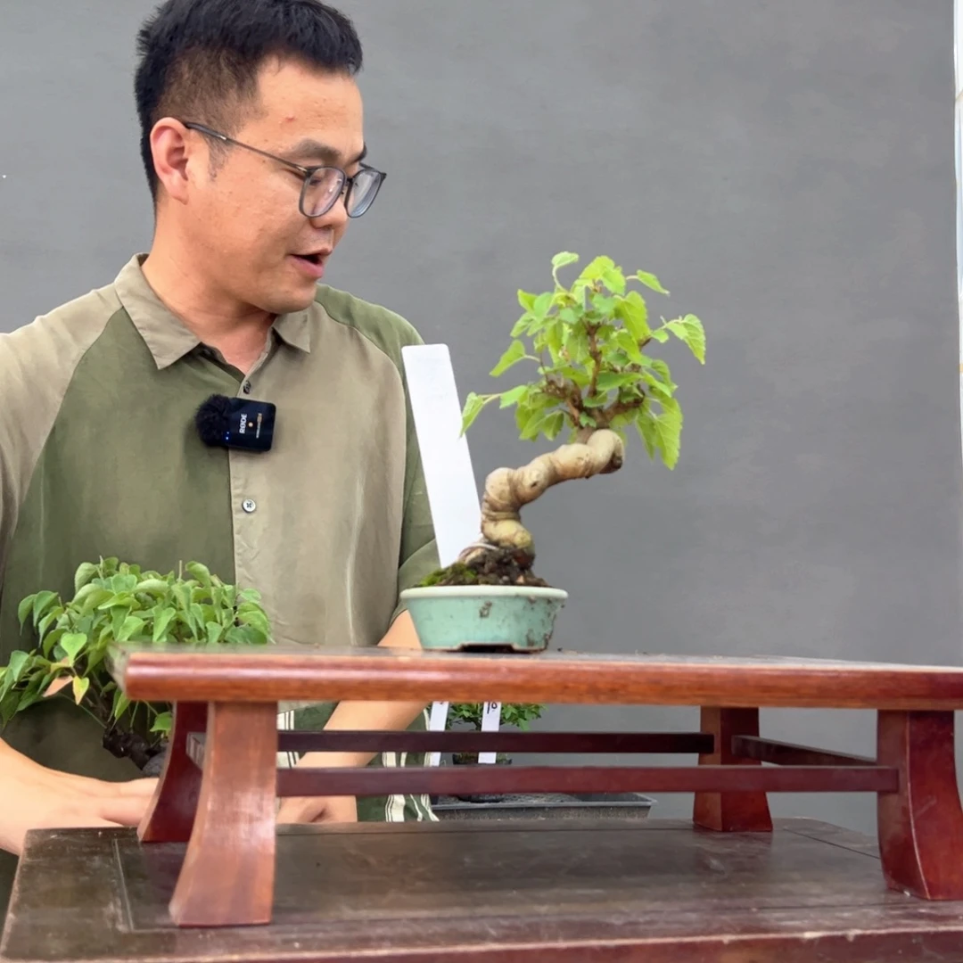悠****中81顺丰到付。