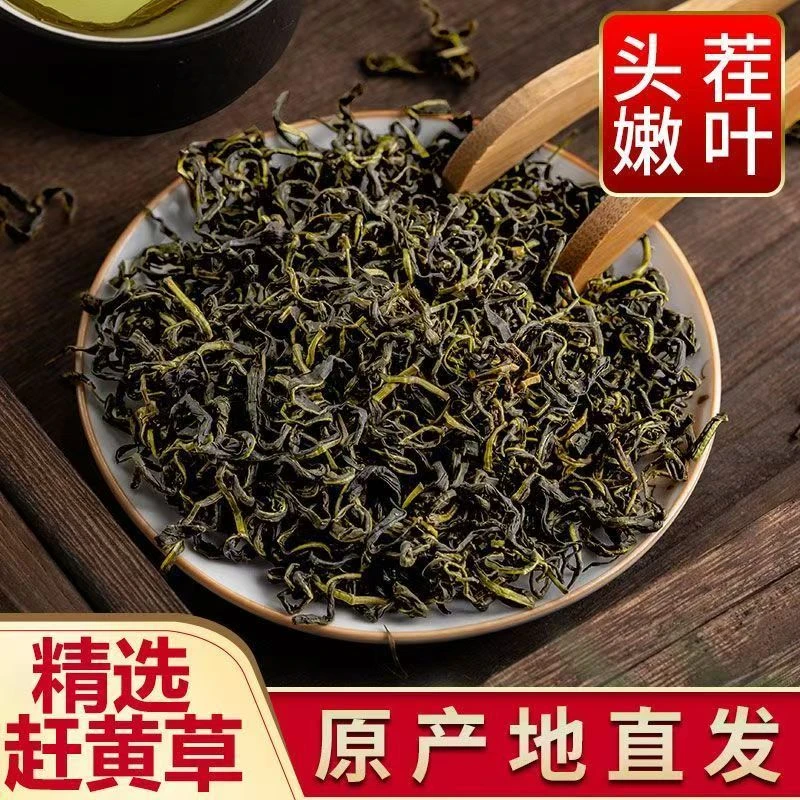 【正宗四川赶黄草】 头茬新货无硫可搭配决明子