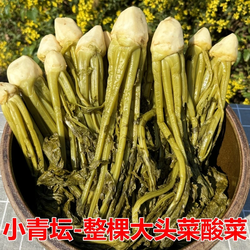 当季大头菜苗黄菜腌制酸菜拌面拌粉下饭菜开胃菜江西特产泡菜