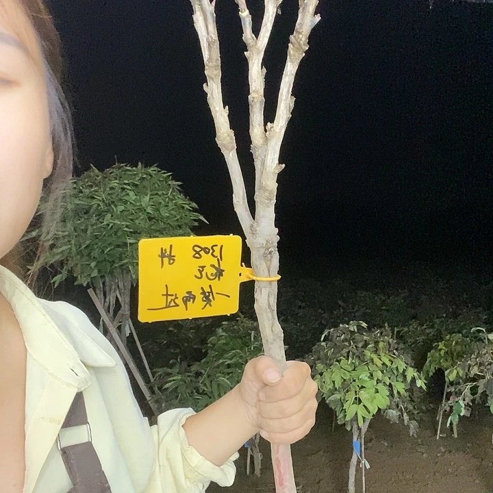 完全开放一**过花王