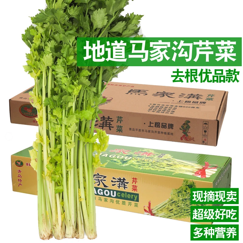 【去根优品】平度马家沟芹菜生吃凉拌正宗平度马家沟芹菜空心凉拌生吃芹菜