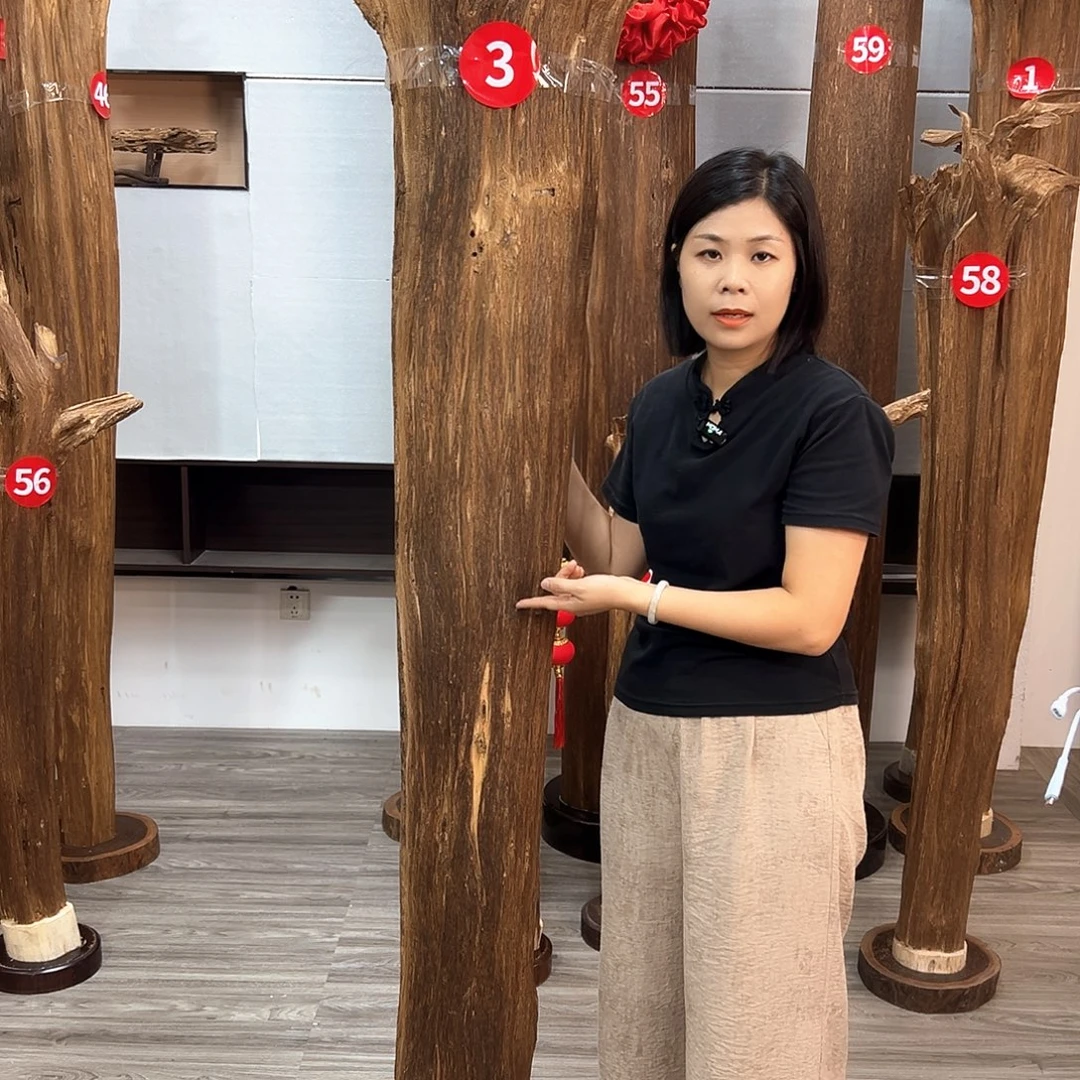 田***真沉香沉香碎屑沉香