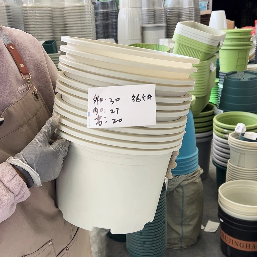 瑕疵矮胖5#米米白色10个无托