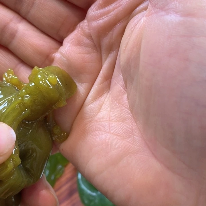 蛇纹石玉未镶嵌手把?*遥