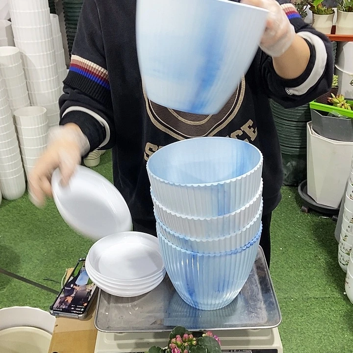 ＠*@竖条纹口19高16白串色带拖5只