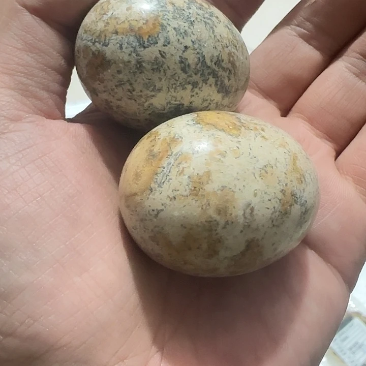 橄榄核其他知**友Ghghghghghghg