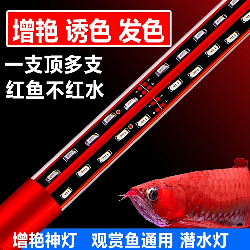 【龙鱼增艳灯】红龙金龙鱼专用水族照明观赏锦鲤鱼缸灯防水照明灯