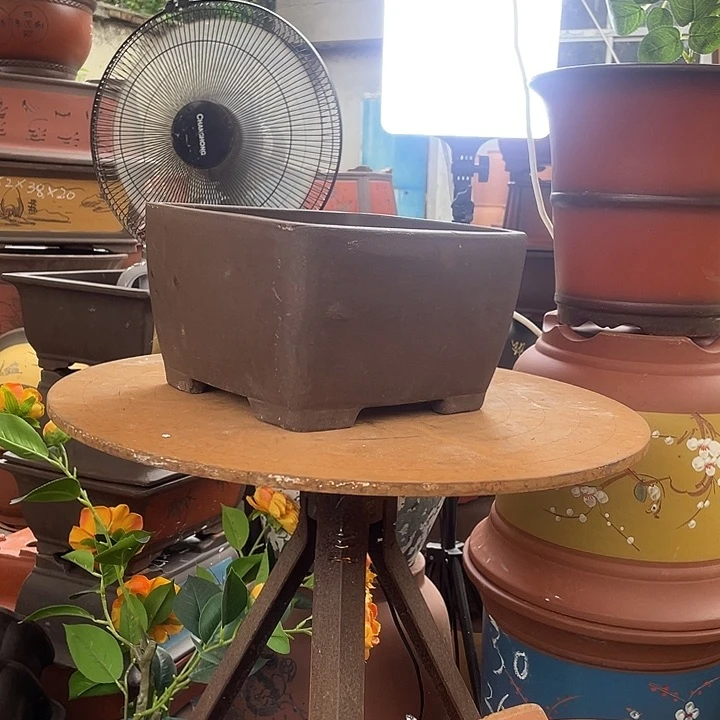 紫色四方23花盆紫砂花盆紫砂