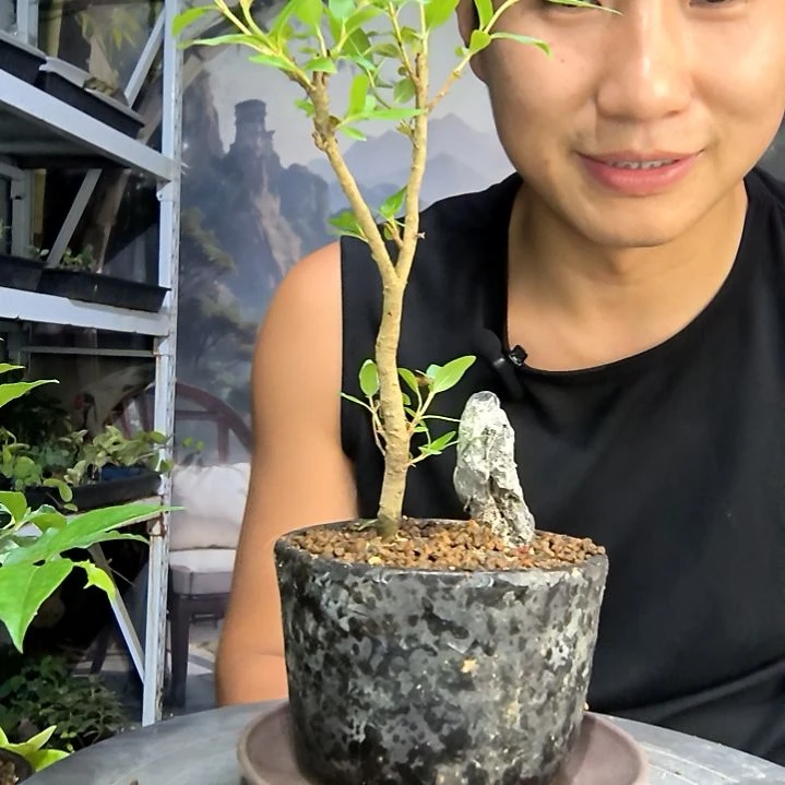 Z**气中青园艺一物一拍120