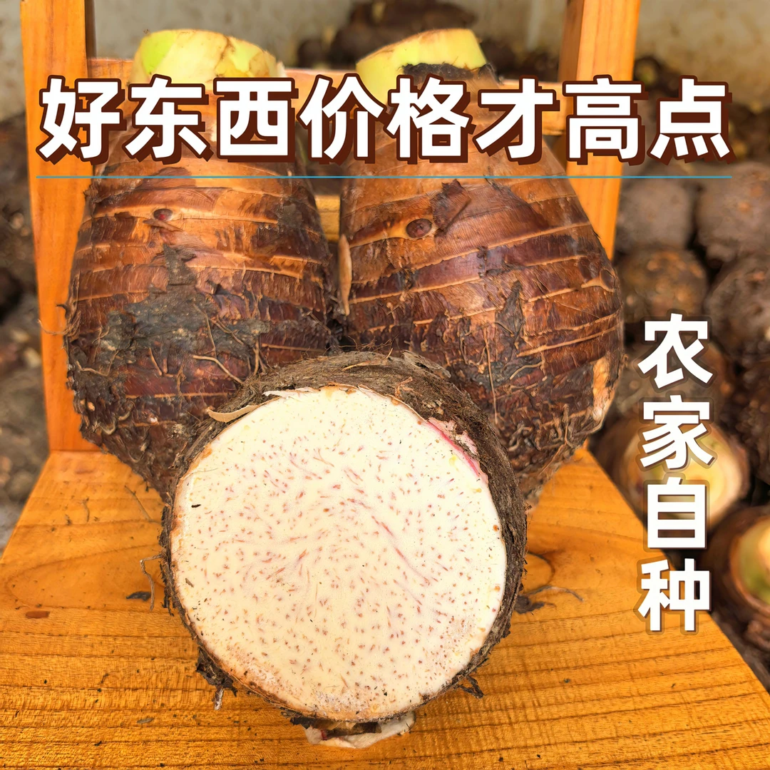 【农家种植】正宗广西新鲜荔浦新鲜芋头香芋糯芋头槟榔芋芋艿3斤5斤