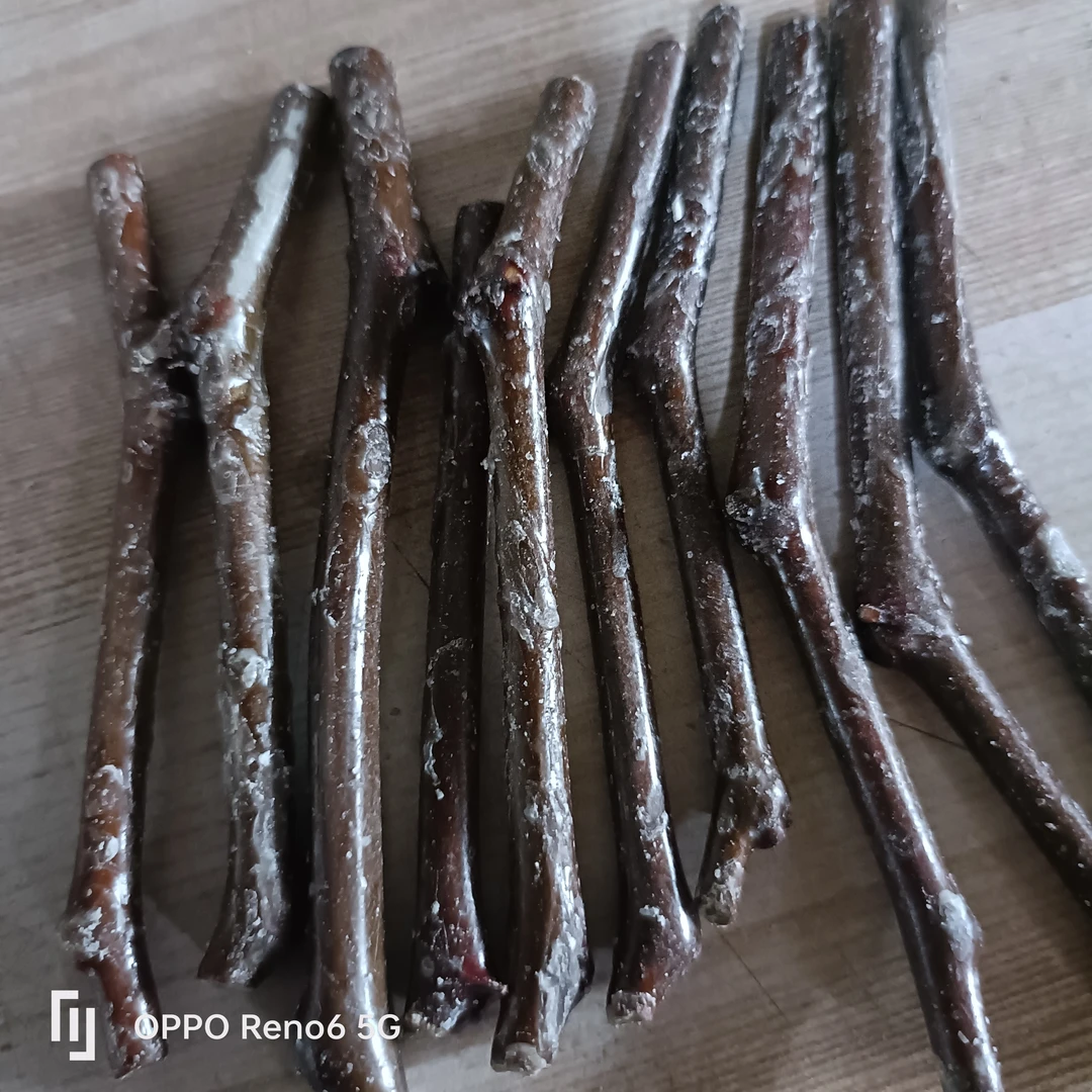 冬蟠粹枣接穗，苗浦嫁接专用，拍一发10个，