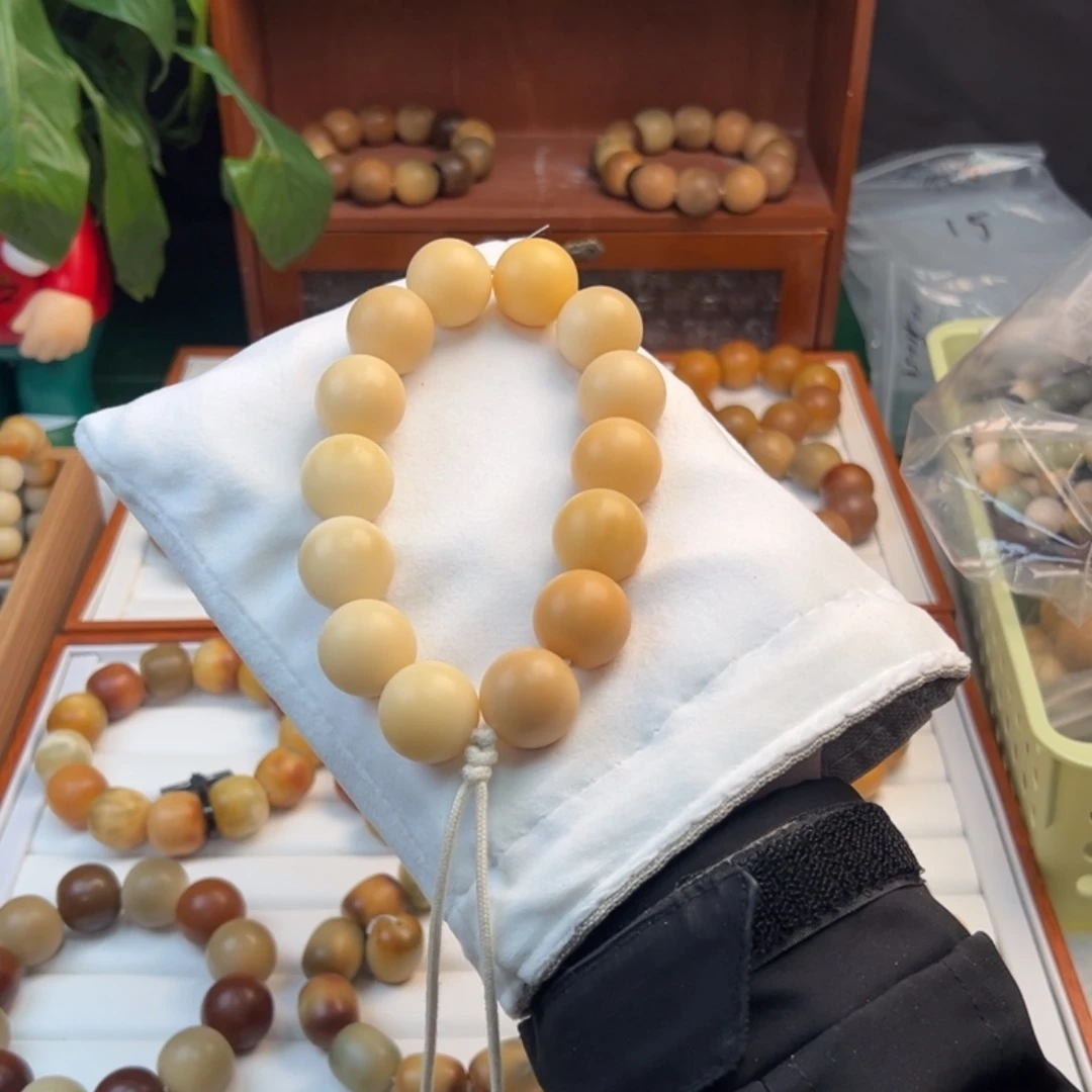 菩提根/象牙果手串卡21干磨圆珠落地果微瑕手持