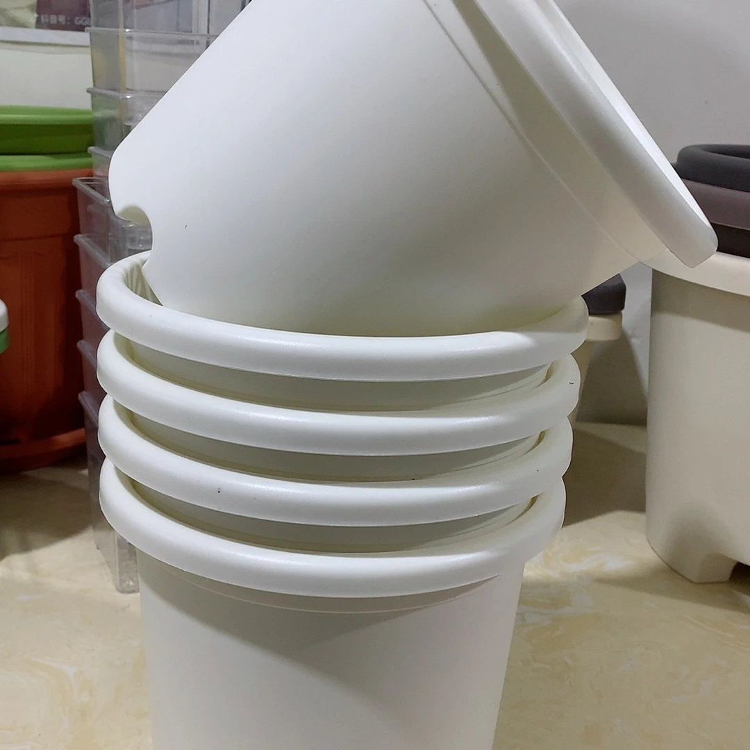 树脂四季口21白5个无托新