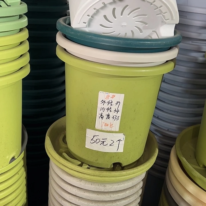 微瑕8#口径39无托果绿3个
