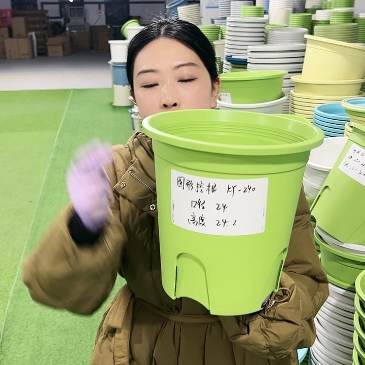 正品圆控口24高24果绿8只无托