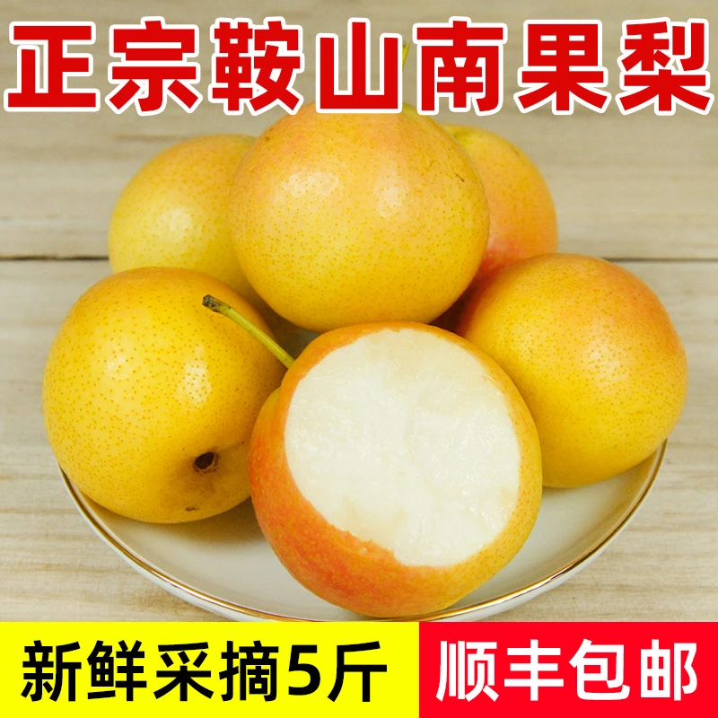 鞍山南果梨5斤顺丰包邮 海城南国梨子放软再吃酒香味浓