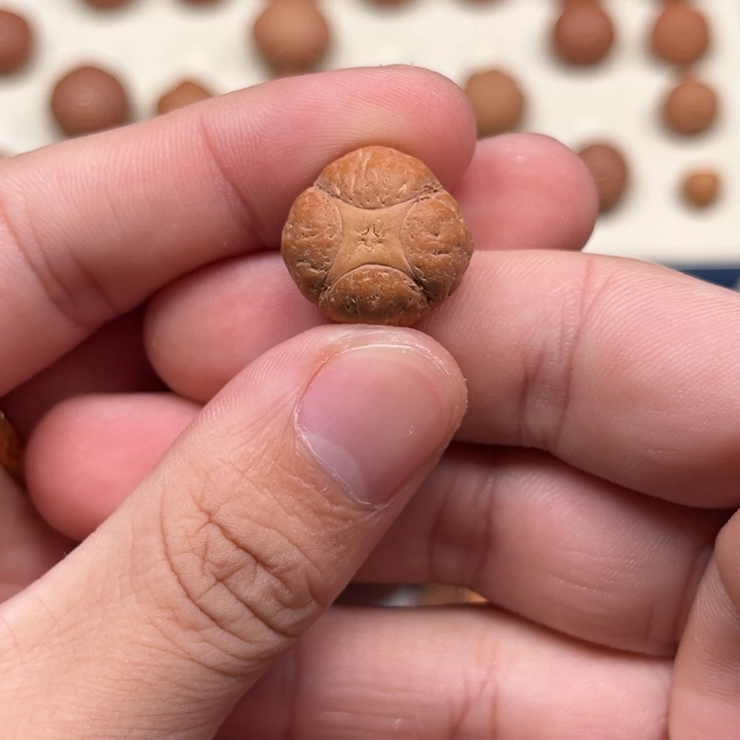 吊坠凤眼菩提18.7/13福利麒麟