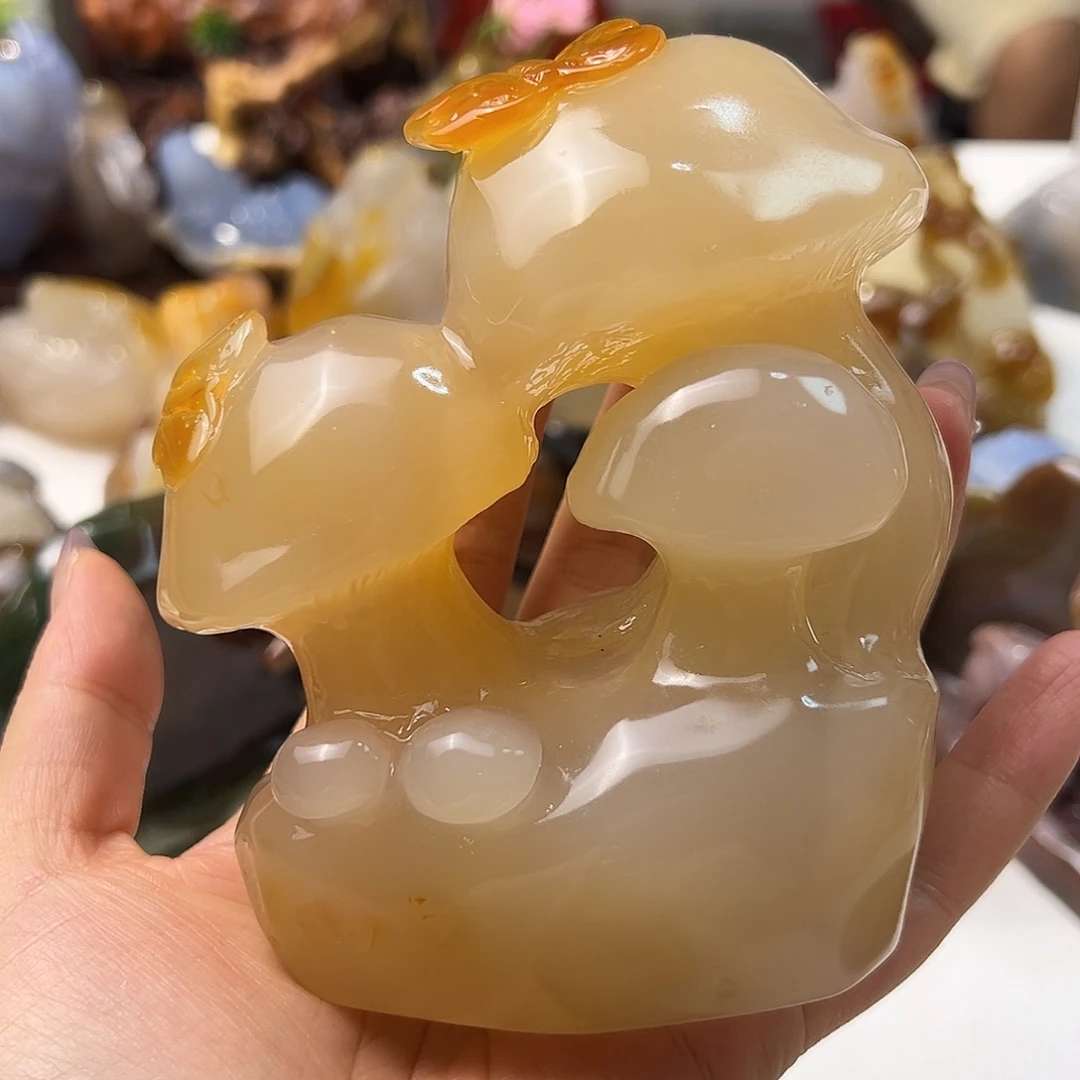 蛤***蜊玛瑙/玉髓颈饰未镶嵌