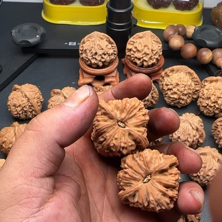 鲨****42尺南疆石黄色生长线