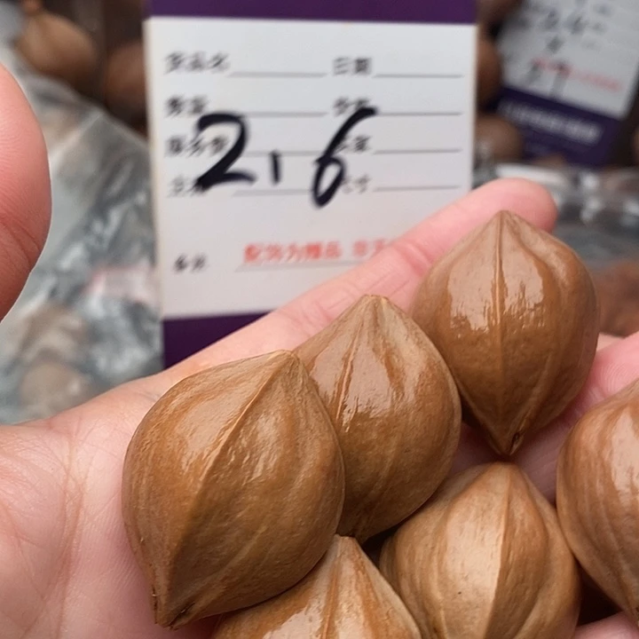 手串/手链橄榄核闻*